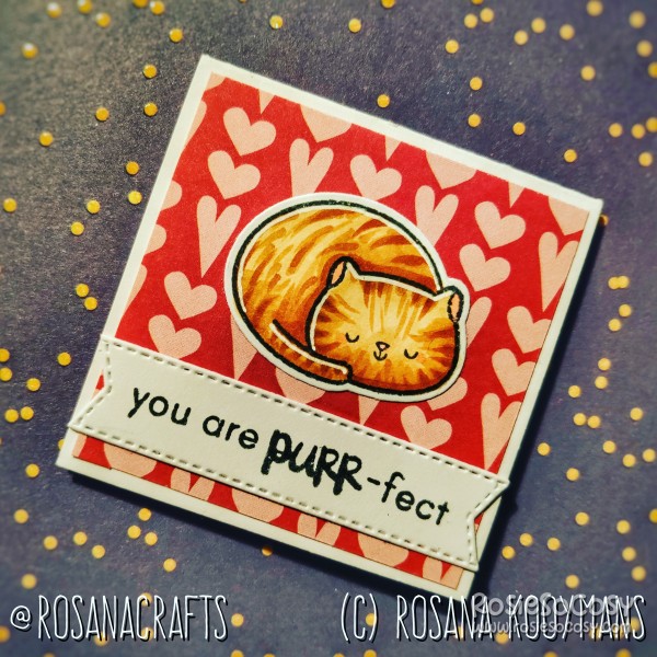 You are PURR-fect Card