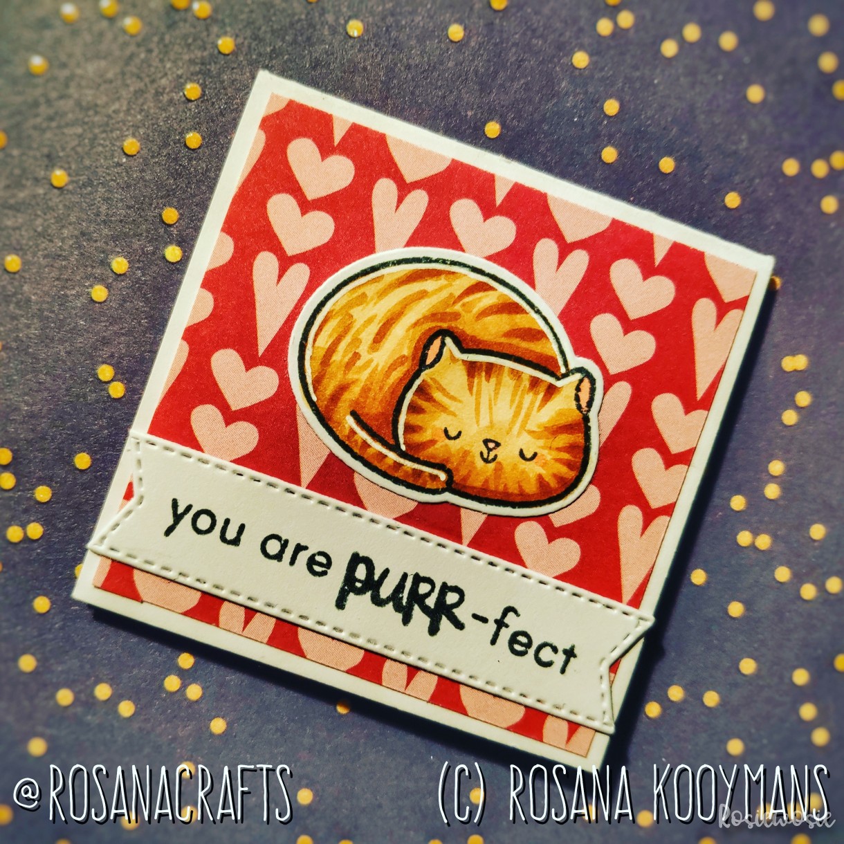 You are PURR-fect Card